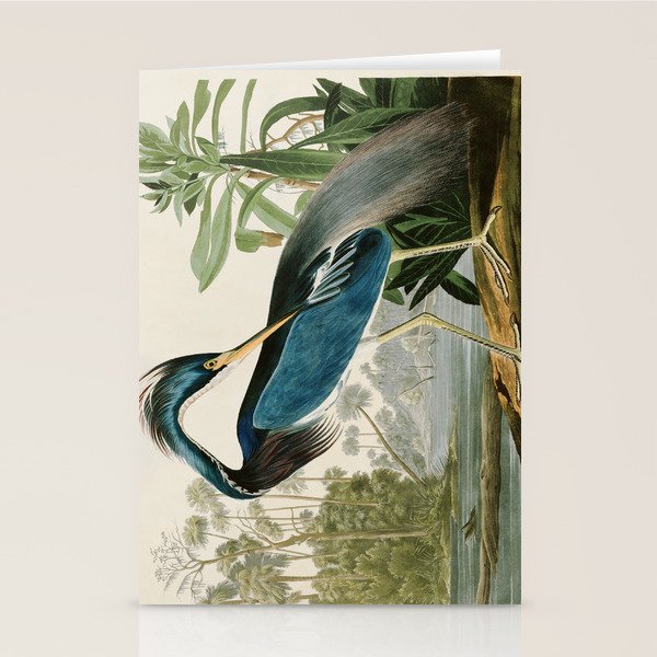 Louisiana Heron by John James Audubon  Stationery Card Gallery Image 2