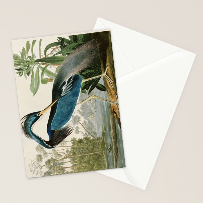 Louisiana Heron by John James Audubon  Stationery Card Gallery Image 2