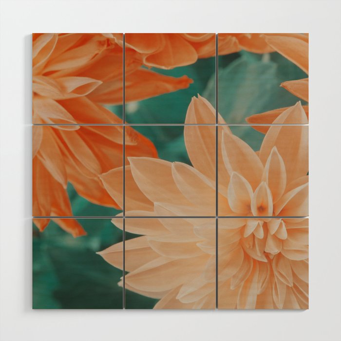Dahlia Power Wood Wall Art Gallery Image 1