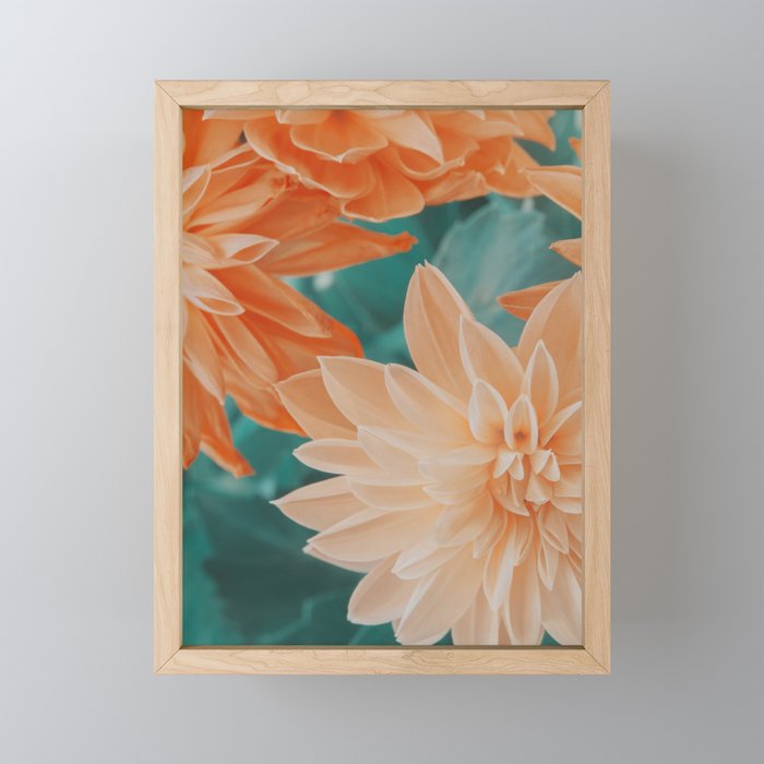 Dahlia Power Mini Art Print Gallery Image 1