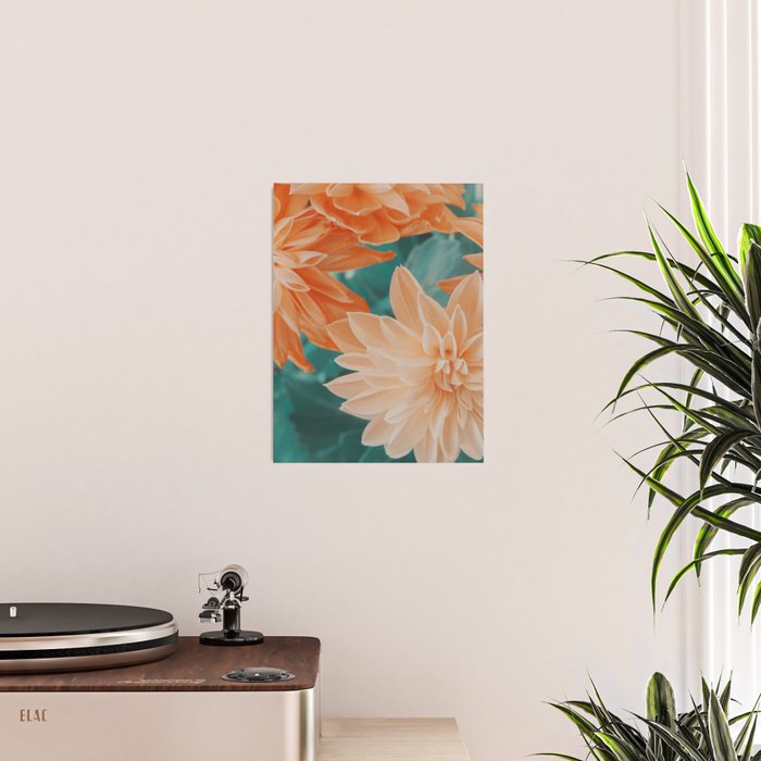 Dahlia Power Poster Gallery Image 2