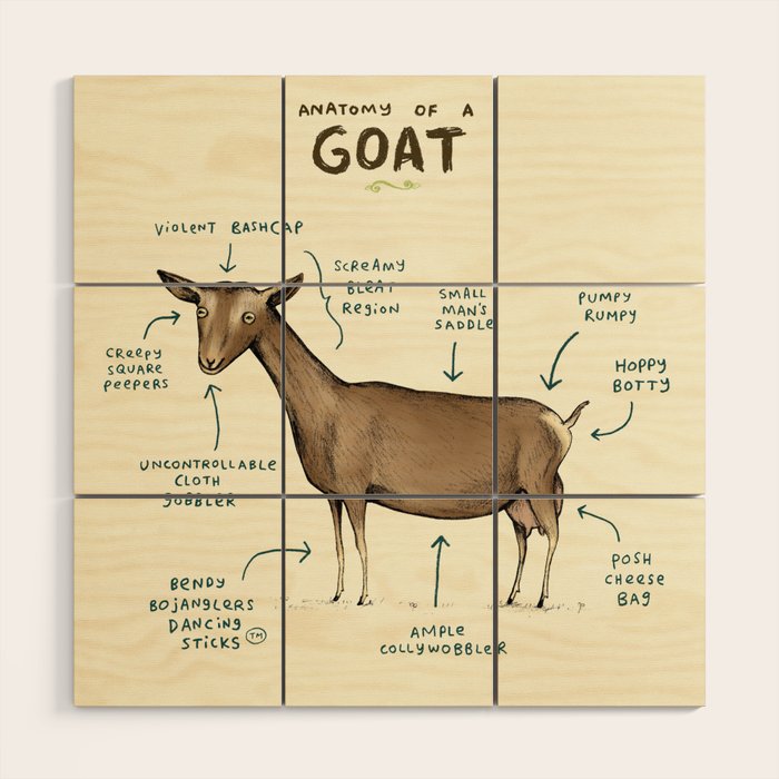 Anatomy of a Goat Wood Wall Art Gallery Image 1