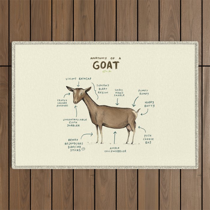 Anatomy of a Goat Outdoor Rug Gallery Image 1