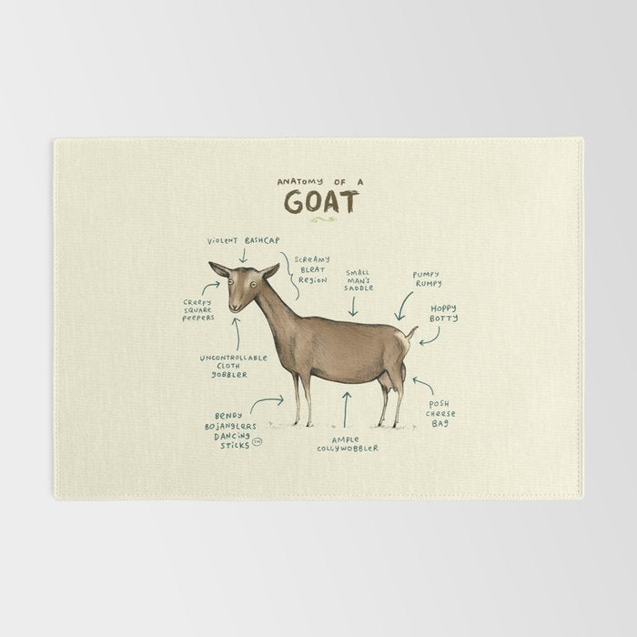 Anatomy of a Goat Rug Gallery Image 2