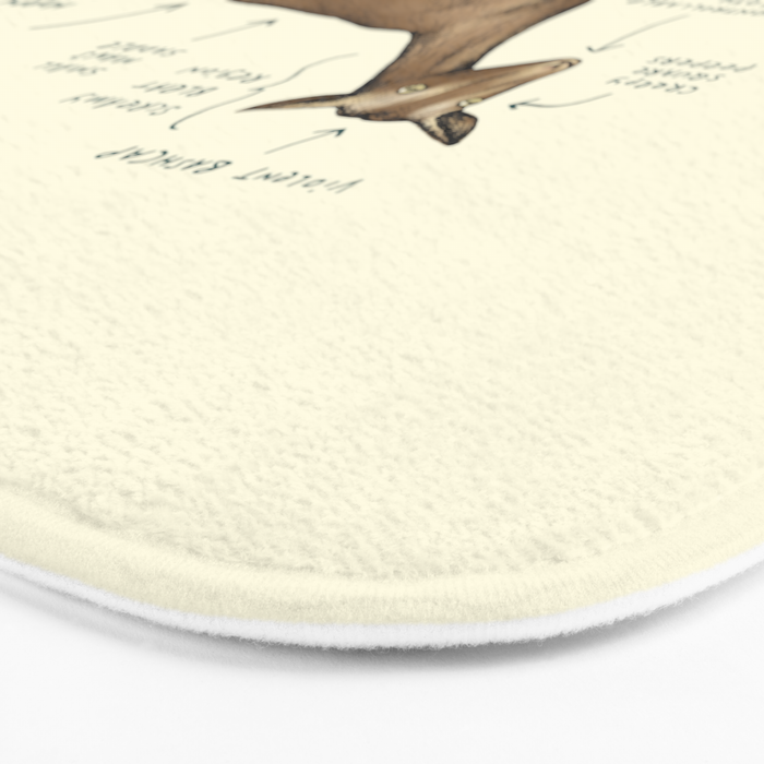 Anatomy of a Goat Bath Mat Gallery Image 3