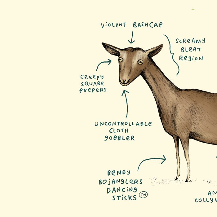 Anatomy of a Goat Coffee Mug Gallery Image 2