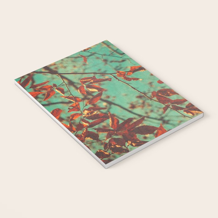 Autumn Beech Tree Notebook Gallery Image 3