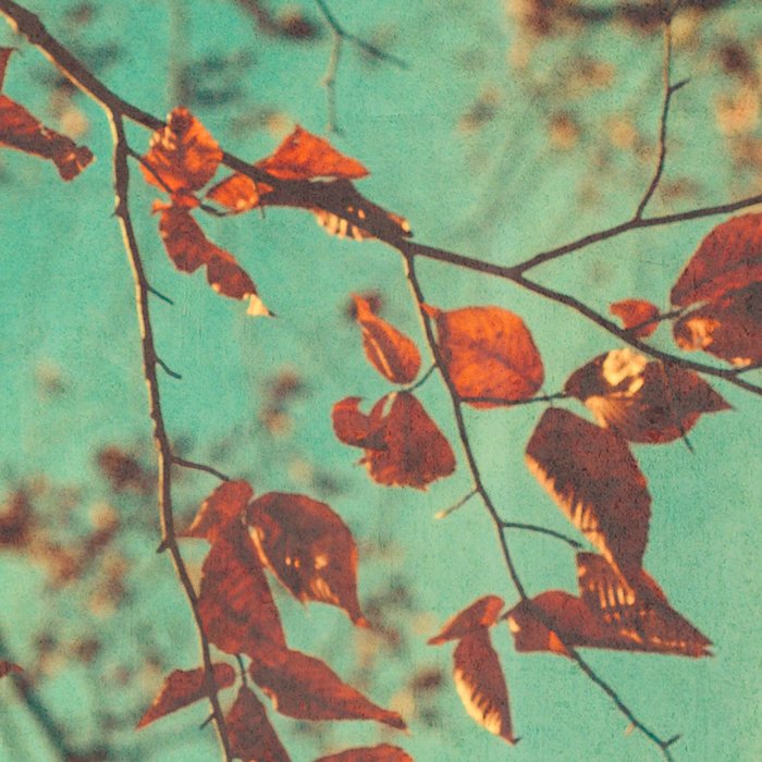 Autumn Beech Tree Coffee Mug Gallery Image 2