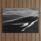 Orca, kill whale whale watching black and white nature photograph - photography - photographs Outdoor Rug Gallery Image 1
