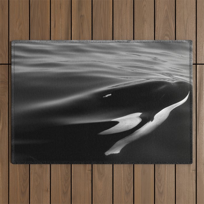 Orca, kill whale whale watching black and white nature photograph - photography - photographs Outdoor Rug Gallery Image 1