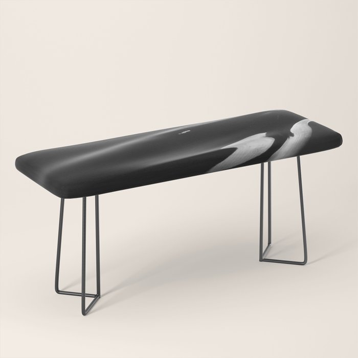 Orca, kill whale whale watching black and white nature photograph - photography - photographs Bench Gallery Image 1