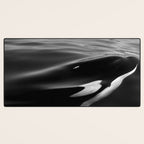 Orca, kill whale whale watching black and white nature photograph - photography - photographs Desk Mat Gallery Image 3