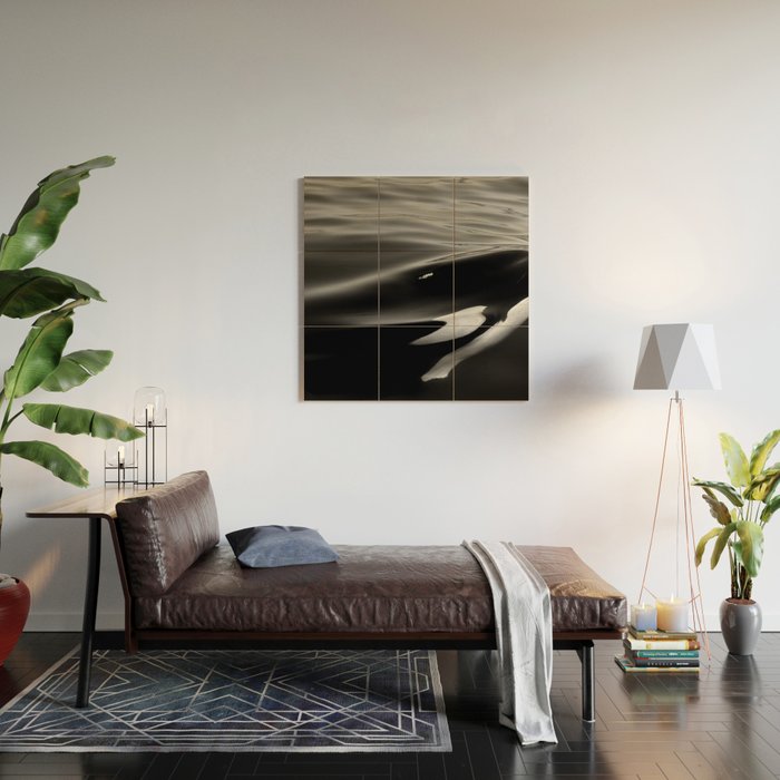 Orca, kill whale whale watching black and white nature photograph - photography - photographs Wood Wall Art Gallery Image 2