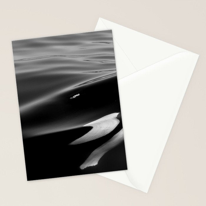 Orca, kill whale whale watching black and white nature photograph - photography - photographs Stationery Card Gallery Image 2