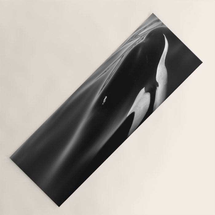 Orca, kill whale whale watching black and white nature photograph - photography - photographs Yoga Mat Gallery Image 1