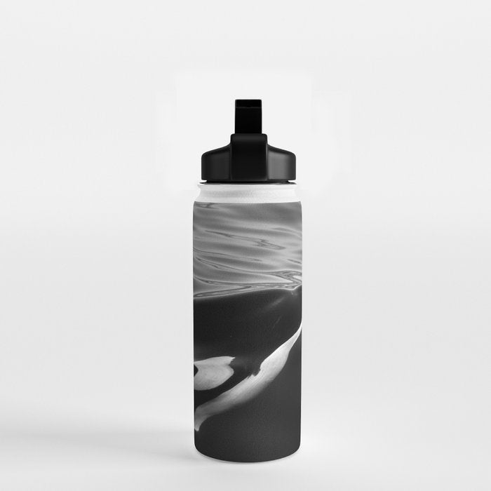 Orca, kill whale whale watching black and white nature photograph - photography - photographs Water Bottle Gallery Image 2