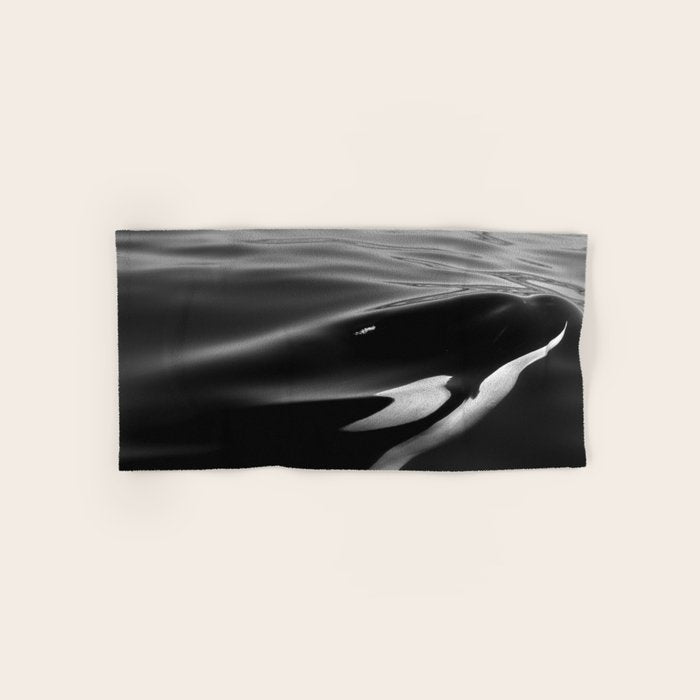Orca, kill whale whale watching black and white nature photograph - photography - photographs Bath Towel Gallery Image 1