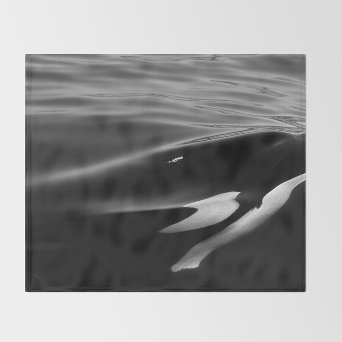 Orca, kill whale whale watching black and white nature photograph - photography - photographs Throw Blanket Gallery Image 2