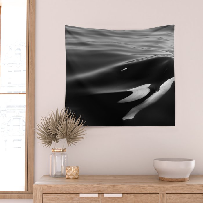 Orca, kill whale whale watching black and white nature photograph - photography - photographs Wall Tapestry Gallery Image 2