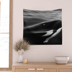 Orca, kill whale whale watching black and white nature photograph - photography - photographs Wall Tapestry Gallery Image 2