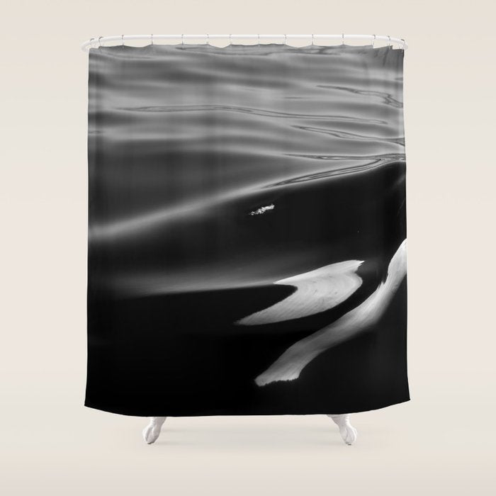 Orca, kill whale whale watching black and white nature photograph - photography - photographs Shower Curtain Gallery Image 1
