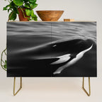 Orca, kill whale whale watching black and white nature photograph - photography - photographs Credenza Gallery Image 1