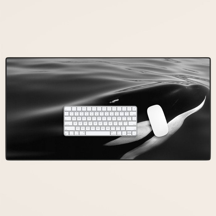 Orca, kill whale whale watching black and white nature photograph - photography - photographs Desk Mat Gallery Image 1