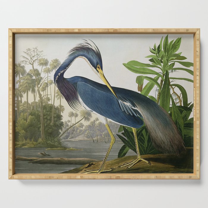 John James Audubon Louisiana Heron Painting Serving Tray Gallery Image 1