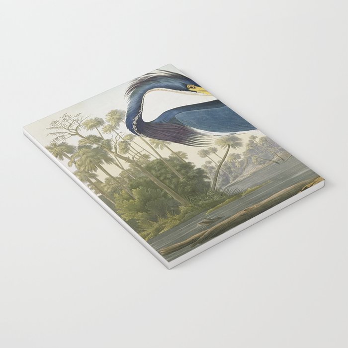 John James Audubon Louisiana Heron Painting Notebook Gallery Image 3