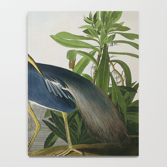 John James Audubon Louisiana Heron Painting Notebook Gallery Image 4
