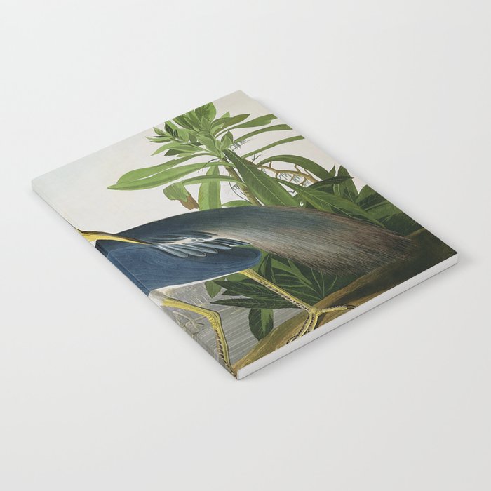 John James Audubon Louisiana Heron Painting Notebook Gallery Image 2