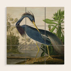 John James Audubon Louisiana Heron Painting Wood Wall Art Gallery Image 1