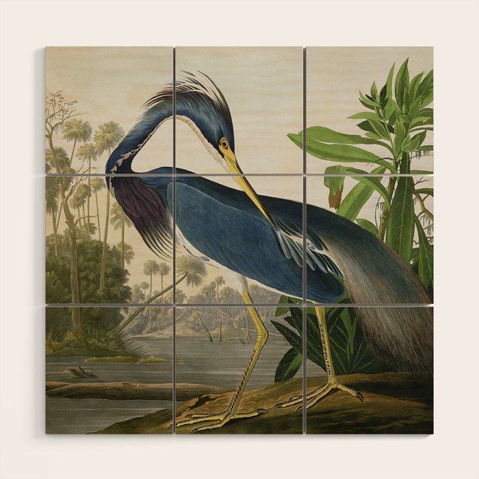 John James Audubon Louisiana Heron Painting Wood Wall Art Gallery Image 1