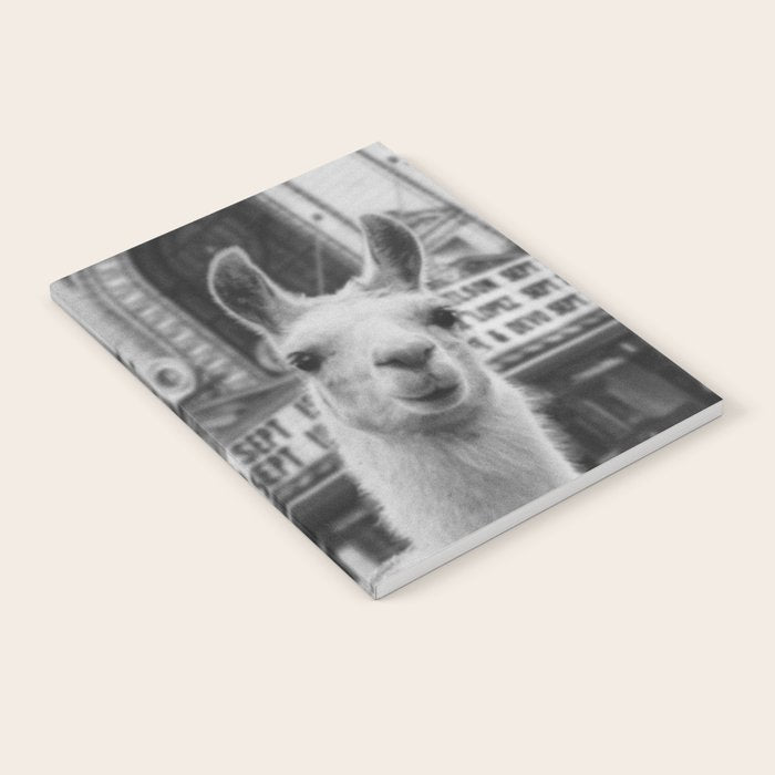Chicago Llama Notebook Gallery Image 2