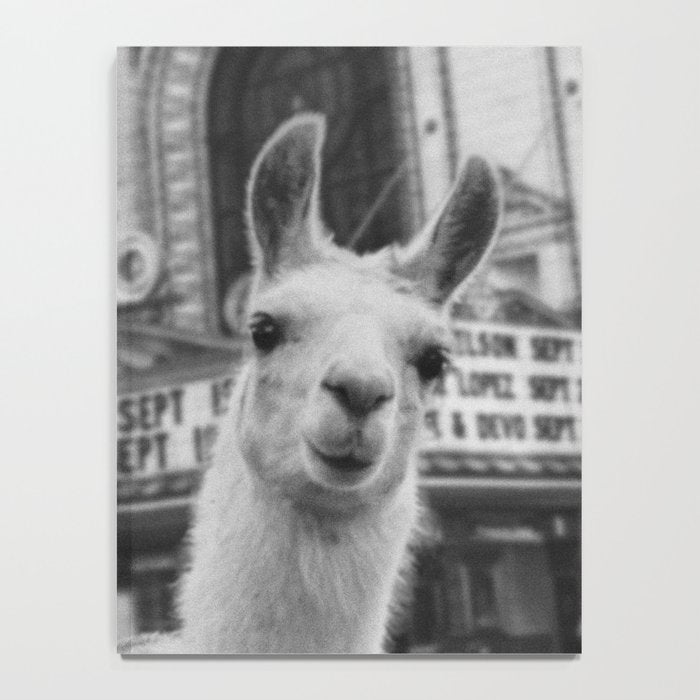Chicago Llama Notebook Gallery Image 4
