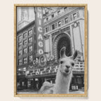 Chicago Llama Serving Tray Gallery Image 1