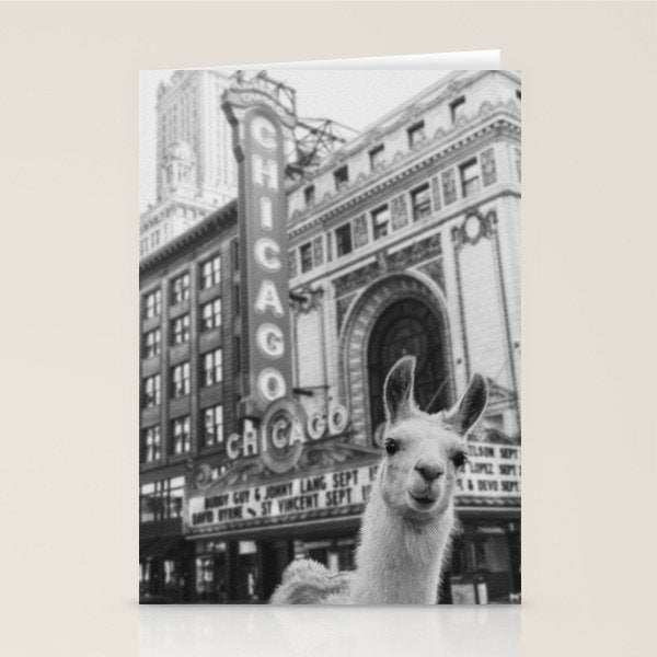 Chicago Llama Stationery Card Gallery Image 2