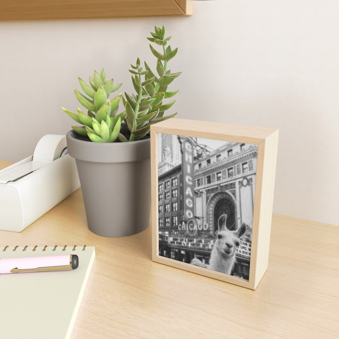 Chicago Llama Mini Art Print Gallery Image 2