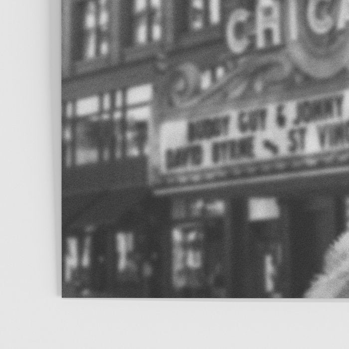 Chicago Llama Poster Gallery Image 3
