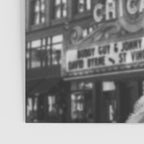 Chicago Llama Poster Gallery Image 3
