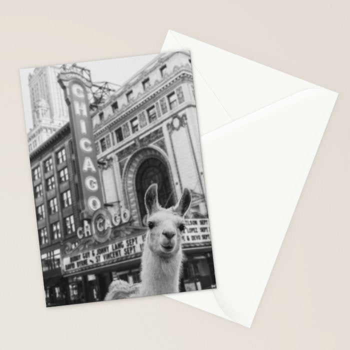 Chicago Llama Stationery Card Gallery Image 2