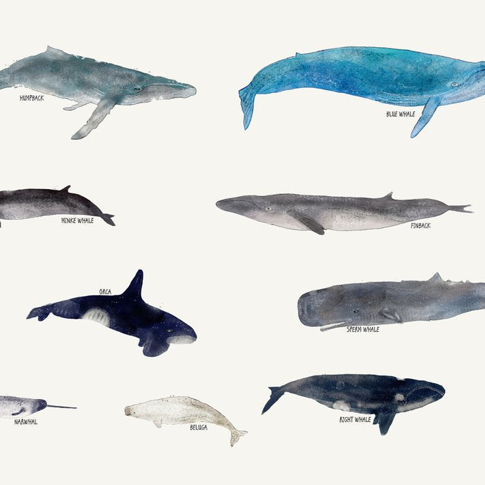 whales Coffee Mug Gallery Image 2