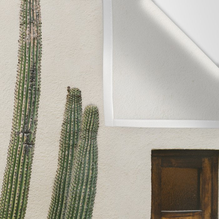 Cabo Cactus IX Wall Tapestry Gallery Image 3