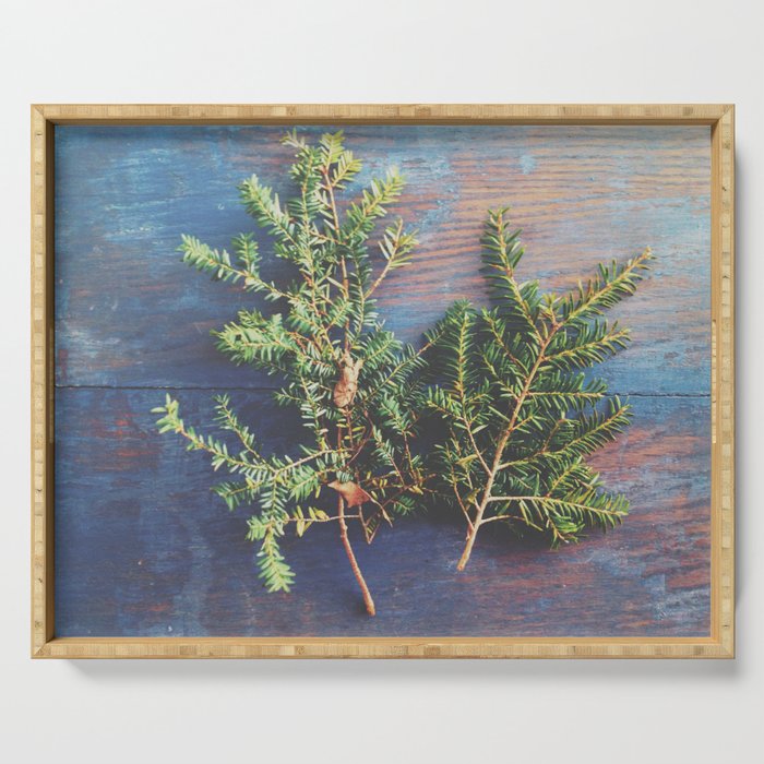 Hemlock on Blue Table - nature still life photograph Serving Tray Gallery Image 1