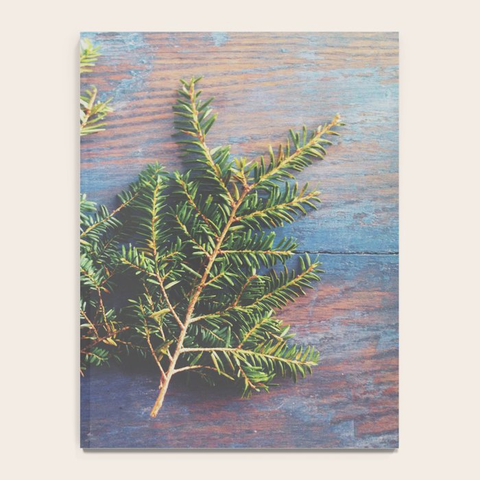 Hemlock on Blue Table - nature still life photograph Notebook Gallery Image 4