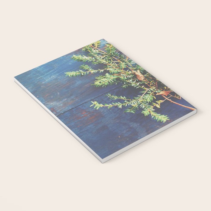 Hemlock on Blue Table - nature still life photograph Notebook Gallery Image 3