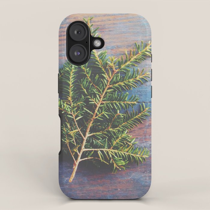 Hemlock on Blue Table - nature still life photograph iPhone Case Gallery Image 1