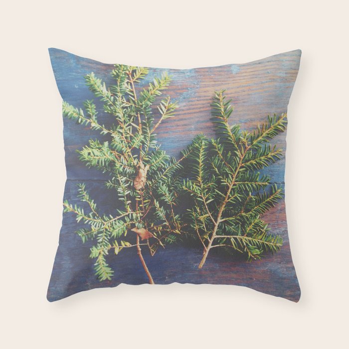 Hemlock on Blue Table - nature still life photograph Throw Pillow Gallery Image 1