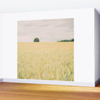 Rural Countryside Field Landscape With Tree Wall Mural Gallery Image 2