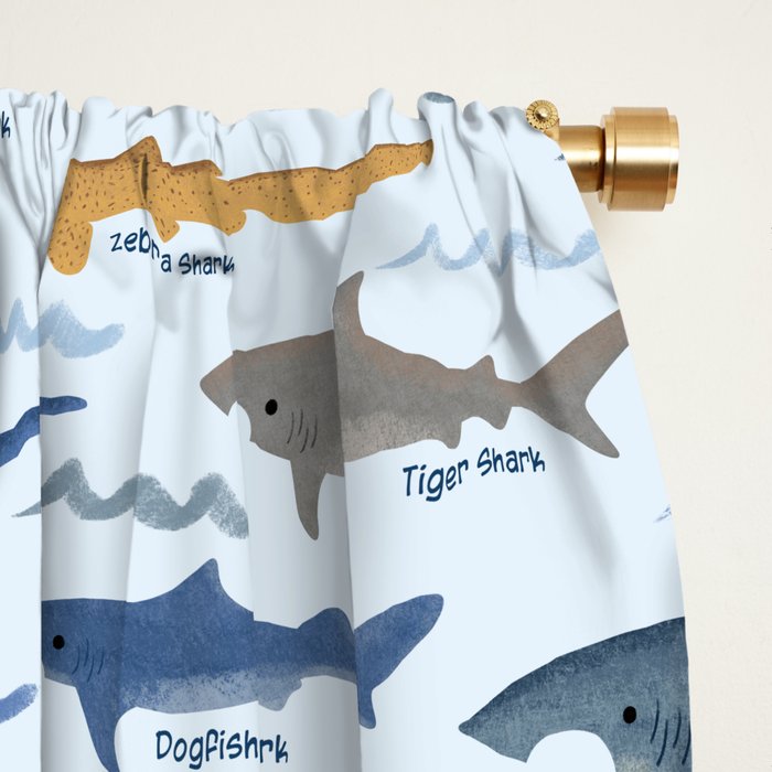 Shark Species Identification Chart Window Curtain Gallery Image 2